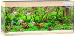Juwel Aquarium Rio 240 Led Filter 121 X 41 X 55 Cm 12 Juwel Aquarium Rio 240 Led Filter 121 X 41 X 55 Cm -Aquariumwinkel juwel juwel aquarium rio 240 led filter 121 x 41 x 3