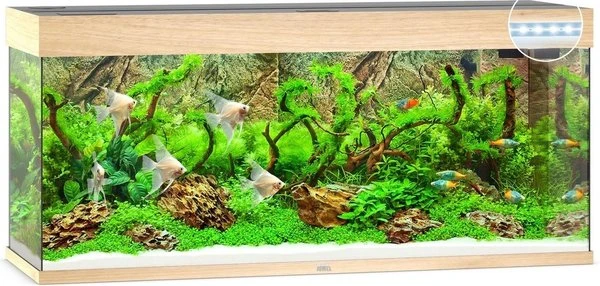 Juwel Aquarium Rio 240 Led Filter 121 X 41 X 55 Cm 6 Juwel Aquarium Rio 240 Led Filter 121 X 41 X 55 Cm - Afbeelding 4