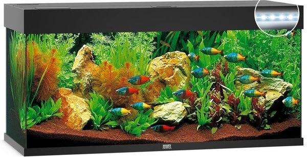 Juwel Aquarium Rio 240 Led Filter 121 X 41 X 55 Cm 3 Juwel Aquarium Rio 240 Led Filter 121 X 41 X 55 Cm