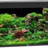 Juwel Aquarium Rio 350 Led Filter 121 X 51 X 66 Cm -Aquariumwinkel juwel juwel aquarium rio 350 led filter 121 x 51 x