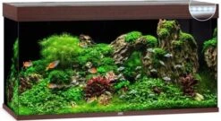 Juwel Aquarium Rio 350 Led Filter 121 X 51 X 66 Cm 11 Juwel Aquarium Rio 350 Led Filter 121 X 51 X 66 Cm -Aquariumwinkel juwel juwel aquarium rio 350 led filter 121 x 51 x 2