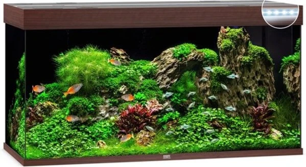 Juwel Aquarium Rio 350 Led Filter 121 X 51 X 66 Cm 5 Juwel Aquarium Rio 350 Led Filter 121 X 51 X 66 Cm - Afbeelding 3