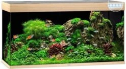 Juwel Aquarium Rio 350 Led Filter 121 X 51 X 66 Cm 12 Juwel Aquarium Rio 350 Led Filter 121 X 51 X 66 Cm -Aquariumwinkel juwel juwel aquarium rio 350 led filter 121 x 51 x 3