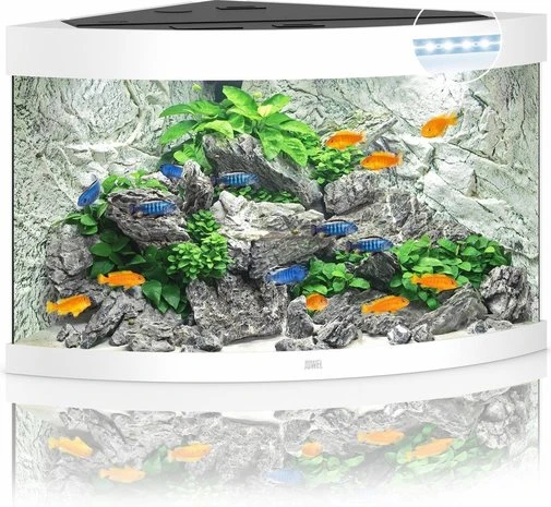 Juwel Aquarium Trigon 190 Led Filter 99 X 70 X 60 Cm 4 Juwel Aquarium Trigon 190 Led Filter 99 X 70 X 60 Cm - Afbeelding 2
