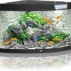 Juwel Aquarium Trigon 190 Led Filter 99 X 70 X 60 Cm 1 Juwel Aquarium Trigon 190 Led Filter 99 X 70 X 60 Cm -Aquariumwinkel juwel juwel aquarium trigon 190 led filter 99 x 70