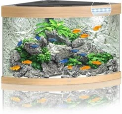 Juwel Aquarium Trigon 190 Led Filter 99 X 70 X 60 Cm 11 Juwel Aquarium Trigon 190 Led Filter 99 X 70 X 60 Cm -Aquariumwinkel juwel juwel aquarium trigon 190 led filter 99 x 70 2