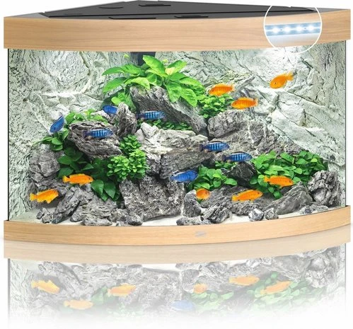 Juwel Aquarium Trigon 190 Led Filter 99 X 70 X 60 Cm 5 Juwel Aquarium Trigon 190 Led Filter 99 X 70 X 60 Cm - Afbeelding 3
