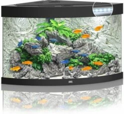 Juwel Aquarium Trigon 190 Led Filter 99 X 70 X 60 Cm