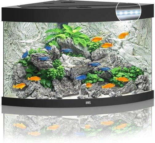Juwel Aquarium Trigon 190 Led Filter 99 X 70 X 60 Cm 3 Juwel Aquarium Trigon 190 Led Filter 99 X 70 X 60 Cm