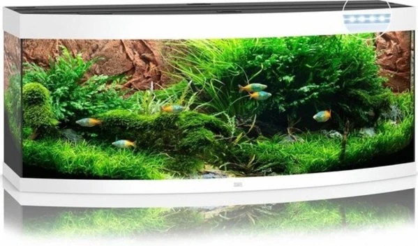 Juwel Aquarium Vision 450 Led Filter 151 X 61 X 64 Cm 4 Juwel Aquarium Vision 450 Led Filter 151 X 61 X 64 Cm - Afbeelding 2