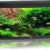 Juwel Aquarium Vision 450 Led Filter 151 X 61 X 64 Cm 1 Juwel Aquarium Vision 450 Led Filter 151 X 61 X 64 Cm -Aquariumwinkel juwel juwel aquarium vision 450 led filter 151 x 6