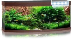 Juwel Aquarium Vision 450 Led Filter 151 X 61 X 64 Cm 11 Juwel Aquarium Vision 450 Led Filter 151 X 61 X 64 Cm -Aquariumwinkel juwel juwel aquarium vision 450 led filter 151 x 6 2