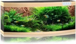 Juwel Aquarium Vision 450 Led Filter 151 X 61 X 64 Cm 12 Juwel Aquarium Vision 450 Led Filter 151 X 61 X 64 Cm -Aquariumwinkel juwel juwel aquarium vision 450 led filter 151 x 6 3