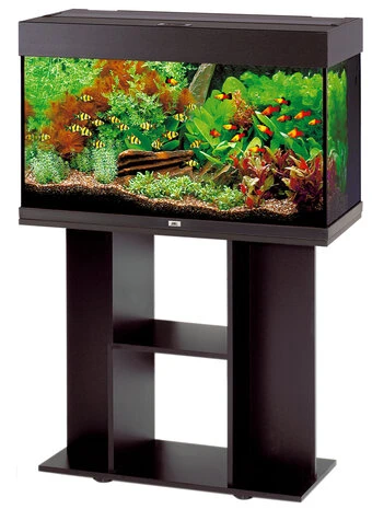 Juwel Kast SB835 Primo 110 Zwart 4 Juwel Kast SB835 Primo 110 Zwart - Afbeelding 2