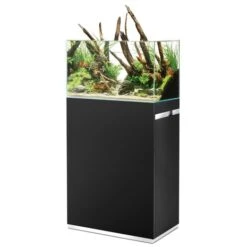 OASE Scaperline 60 Set