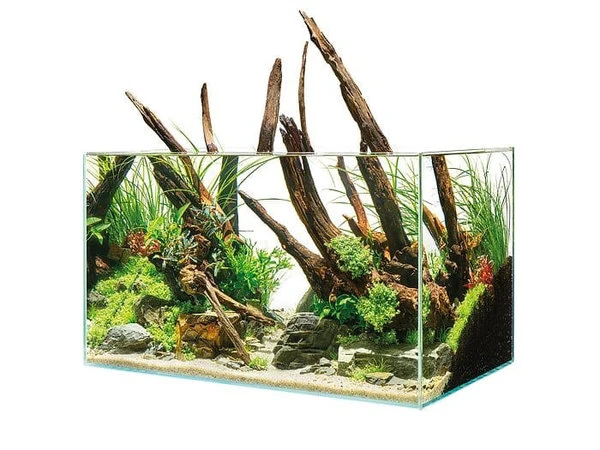 OASE Scaperline 90 Aquarium 3 OASE Scaperline 90 Aquarium