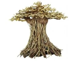 SuperFish SF DECO BONSAI MUSHROOM MEDIUM 5 SuperFish SF DECO BONSAI MUSHROOM MEDIUM -Aquariumwinkel superfish sf deco bonsai mushroom medium 1