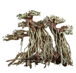 SuperFish SF DECO BONSAI TWIN TREE LARGE