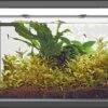 Superfish Aquarium Home 30 46,5 X 25 X 28,5 Cm 2 Superfish Aquarium Home 30 46,5 X 25 X 28,5 Cm -Aquariumwinkel superfish superfish aquarium home 30 465 x 25 x 28