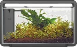 Superfish Aquarium Home 30 46,5 X 25 X 28,5 Cm