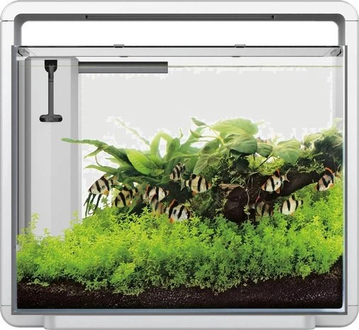 Superfish Aquarium Home 45 46,5 X 25 X 42,5 Cm 4 Superfish Aquarium Home 45 46,5 X 25 X 42,5 Cm - Afbeelding 2