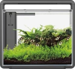 Superfish Aquarium Home 45 46,5 X 25 X 42,5 Cm