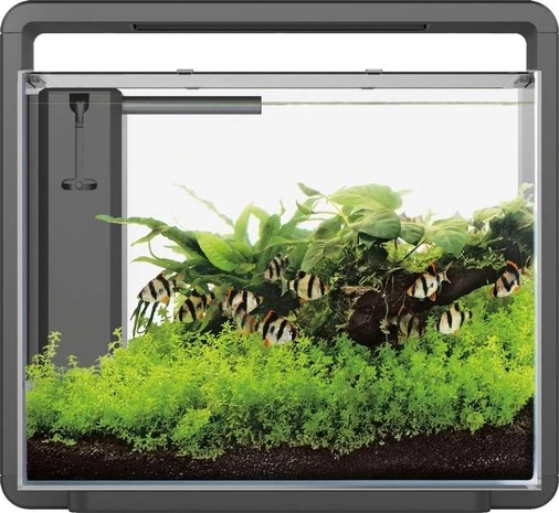 Superfish Aquarium Home 45 46,5 X 25 X 42,5 Cm 3 Superfish Aquarium Home 45 46,5 X 25 X 42,5 Cm
