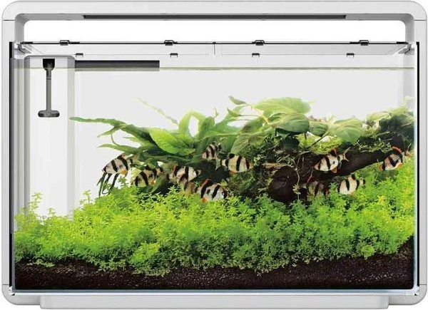 Superfish Aquarium Home 65 58,5 X 32 X 42,5 Cm 4 Superfish Aquarium Home 65 58,5 X 32 X 42,5 Cm - Afbeelding 2