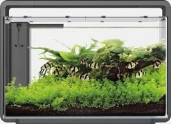 Superfish Aquarium Home 65 58,5 X 32 X 42,5 Cm