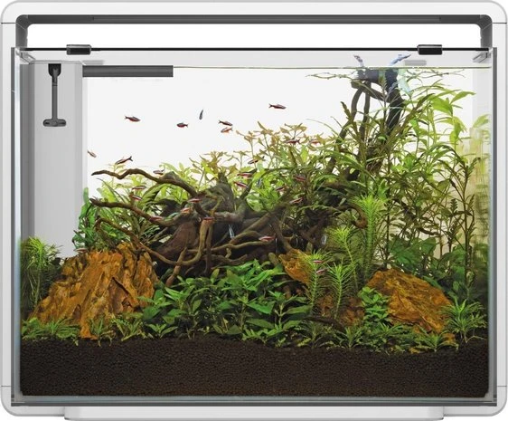 Superfish Aquarium Home 85 65 X 31 X 53 Cm 4 Superfish Aquarium Home 85 65 X 31 X 53 Cm - Afbeelding 2