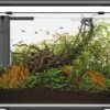 Superfish Aquarium Home 85 65 X 31 X 53 Cm 1 Superfish Aquarium Home 85 65 X 31 X 53 Cm -Aquariumwinkel superfish superfish aquarium home 85 65 x 31 x 53