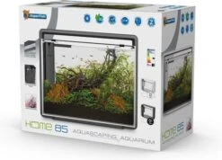 Superfish Aquarium Home 85 65 X 31 X 53 Cm 7 Superfish Aquarium Home 85 65 X 31 X 53 Cm -Aquariumwinkel superfish superfish aquarium home 85 65 x 31 x 53 2