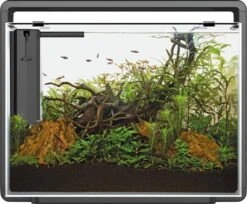 Superfish Aquarium Home 85 65 X 31 X 53 Cm