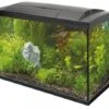Superfish Start 150 Tropical Kit 1 Superfish Start 150 Tropical Kit -Aquariumwinkel superfish superfish start 150 tropical kit