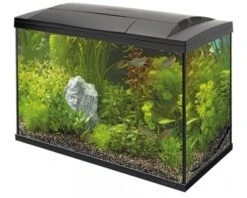 Superfish Start 150 Tropical Kit