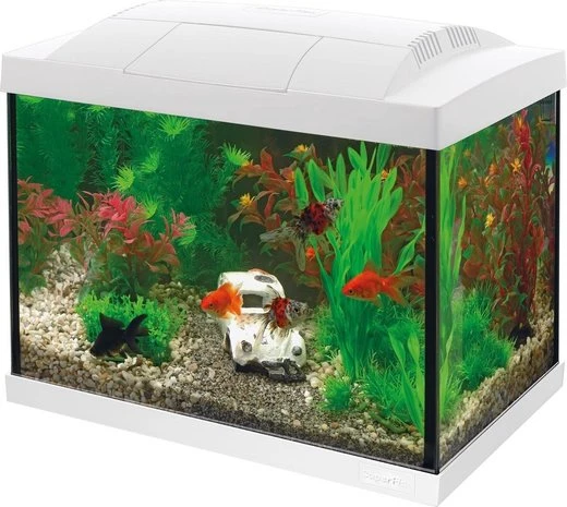 Superfish Start 20 Goldfish Kit 4 Superfish Start 20 Goldfish Kit - Afbeelding 2