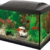 Superfish Start 20 Goldfish Kit 2 Superfish Start 20 Goldfish Kit -Aquariumwinkel superfish superfish start 20 goldfish kit