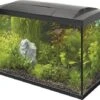 Superfish Start 70 Tropical Kit 1 Superfish Start 70 Tropical Kit -Aquariumwinkel superfish superfish start 70 tropical kit