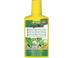 TETRA ALGUMIN 250ML